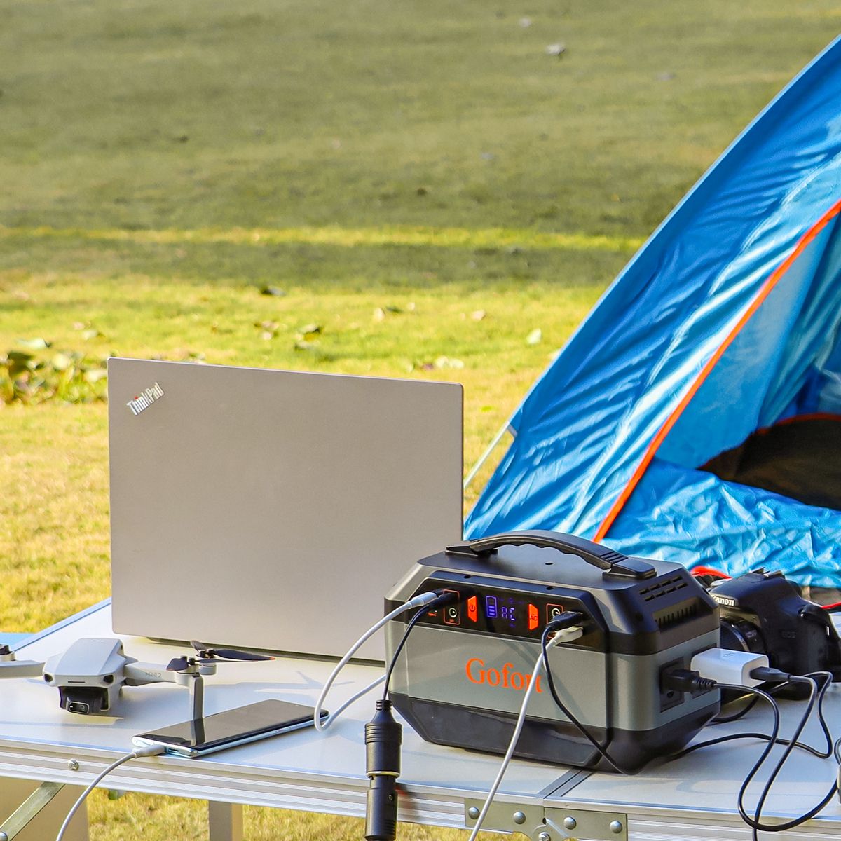 GOFORT 330W Portable Power Station with Foldable Solar Panel